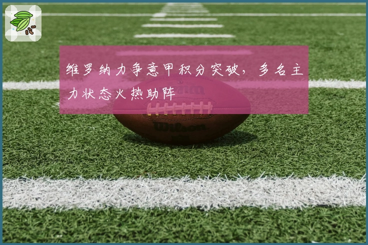 维罗纳力争意甲积分突破，多名主力状态火热助阵