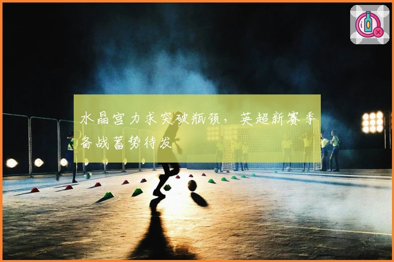 水晶宫力求突破瓶颈，英超新赛季备战蓄势待发