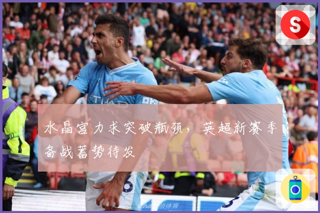 水晶宫力求突破瓶颈，英超新赛季备战蓄势待发